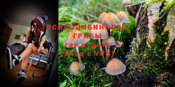 PSILOCYBIN Беломорск